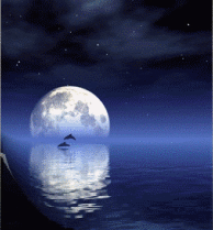 海上生明月