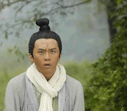 呆若木鸡